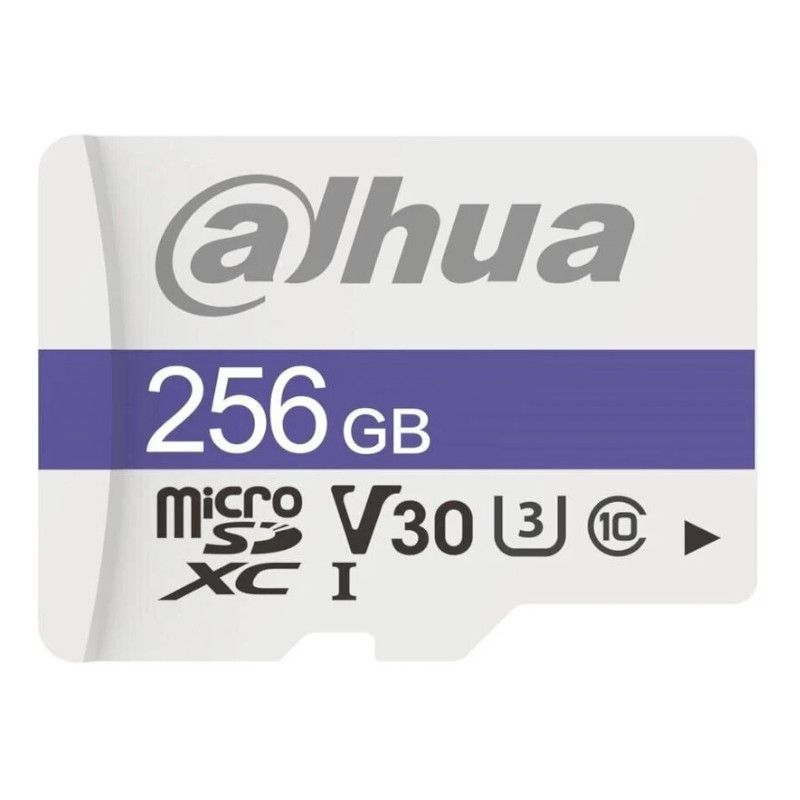 Tarjeta de Memoria DAHUA 1.0.99.80.10175 - 256GB · Clase 10